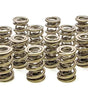 1.645 Triple Valve Springs (16)