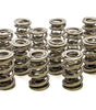 1.645 Triple Valve Springs (16)