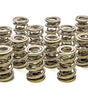 1.695 Triple Valve Springs (16)