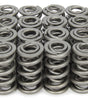 1.550 Dual Valve Springs (16)