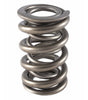 1.500 Dual Valve Spring (1)