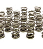 1.500 Dual Valve Springs (16)