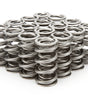 1.500 Dual Valve Springs (16)