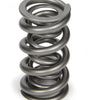 1.500 Dual Valve Spring (1)