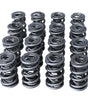 1.645 Triple Valve Springs (16)