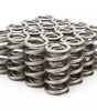 1.522 Dual Valve Springs (16)
