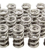 1.536 Dual Valve Springs (16)