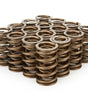 1.374 Dual Valve Springs (16)