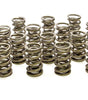 1.564 Dual Valve Springs (16)