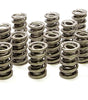 1.574 Dual Valve Springs (16)
