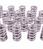 1.574 Dual Valve Springs (16)