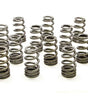 1.250 Valve Springs - Ovate Beehive (16)