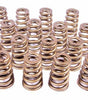 1.454 Valve Springs - Ovate Beehive (16)