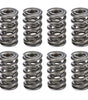 1.284 Dual Valve Springs (16)