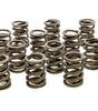 Valve Springs - HR Series (16)