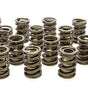 Valve Springs - HR Series (16)