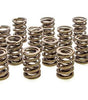 Valve Springs - HR Series (16)