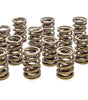 Valve Springs - HR Series (16)