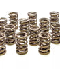 Valve Springs - HR Series (16)