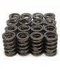 1.490 Dual Valve Springs (16)
