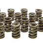 Valve Springs - HR Series (16)