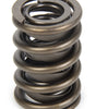 Valve Spring - HR Series (1)
