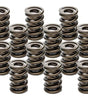 Valve Springs - HR Series (16)