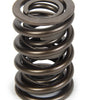Valve Spring - HR Series (1)
