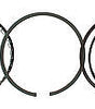 Piston Ring Set 4.500 Gapls Top 1/16 1/16 3/16