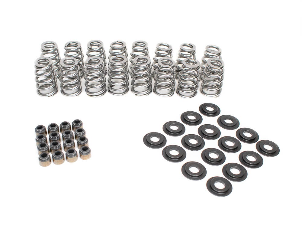 BTR .625" LIFT BEEHIVE VALVE SPRING KIT