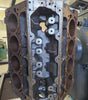 Used LS Gen 4 5.3 Engine Block 110