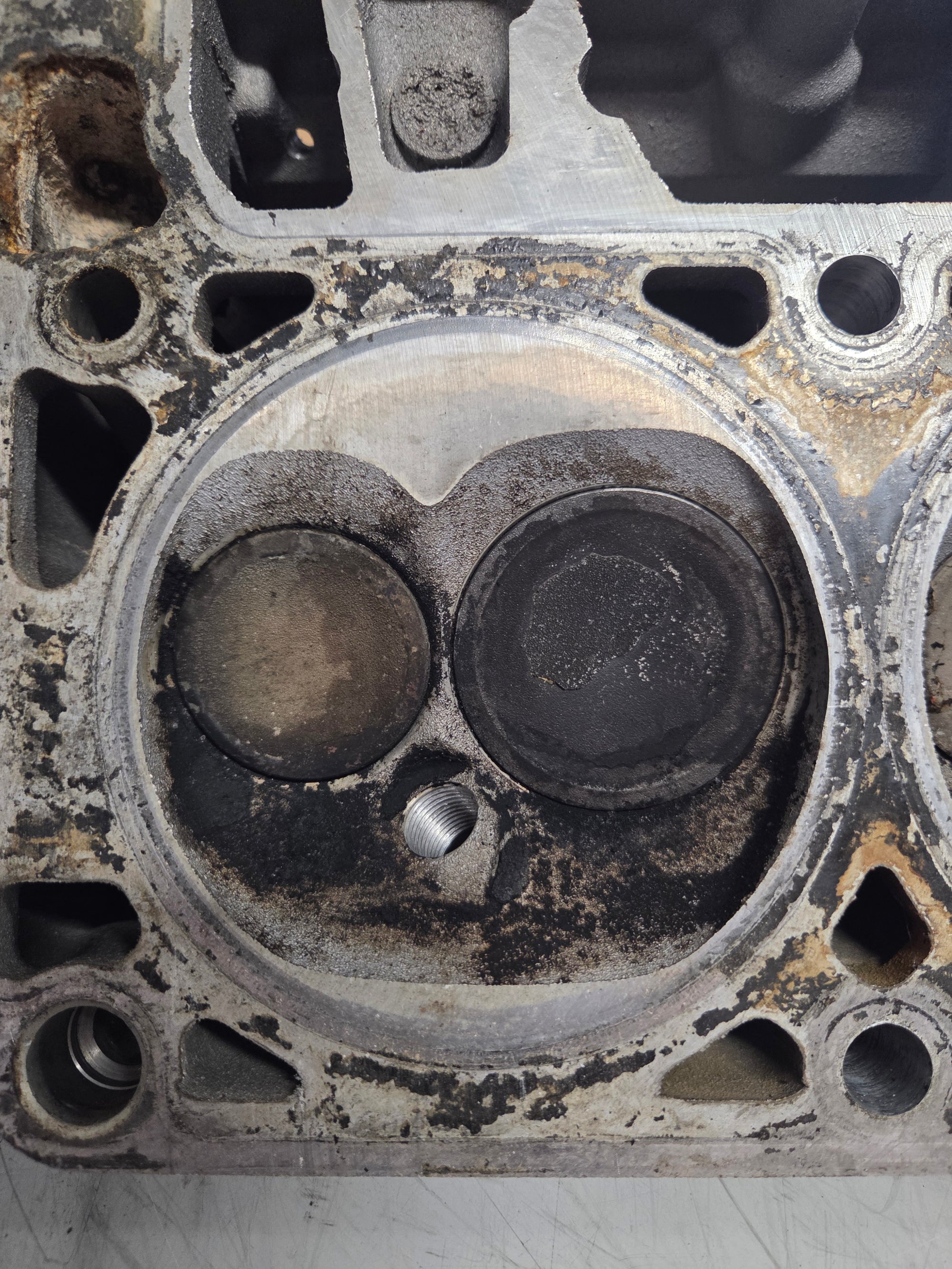 Used 799 Cylinder Head #053